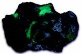 Fluorescent, Gemmy Adamite Crystals on Matrix - Mexico #356629-1